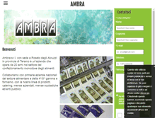 Tablet Screenshot of ambrasas.eu